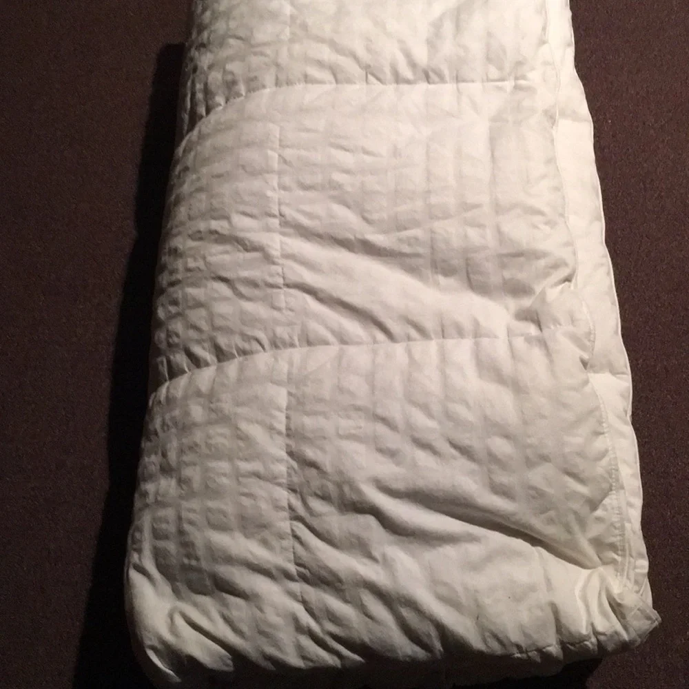 Eddie Bauer down comforter